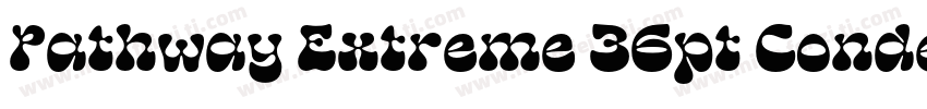 Pathway Extreme 36pt Condensed Medi字体转换
